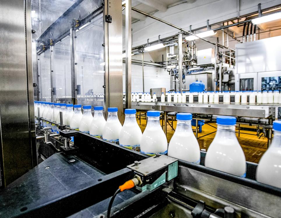 milk processing